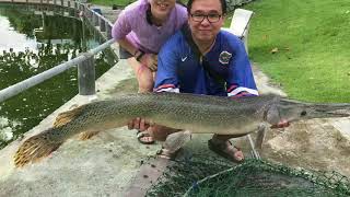 Day Ticket Fishing at Hua Hin Fishing Lodge