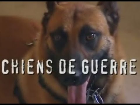 Les Chiens de guerre