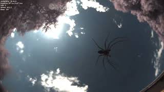 All sky camera capture from Poiana Rusca Mountains 2024-05-18