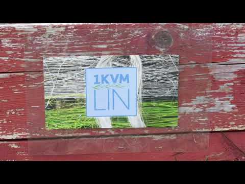 1 kvm lin