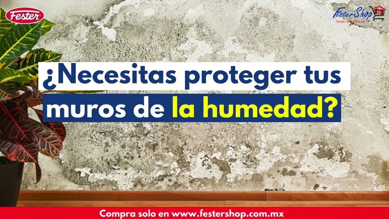 ¿ Humedad en tu paredes Utiliza FESTER CR65 y CR66