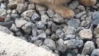 【元気が無いかな？どうしたんだろう？】