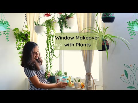 How I decorate my Window with Plants | Window Garden ideas | DIY Window Makeover