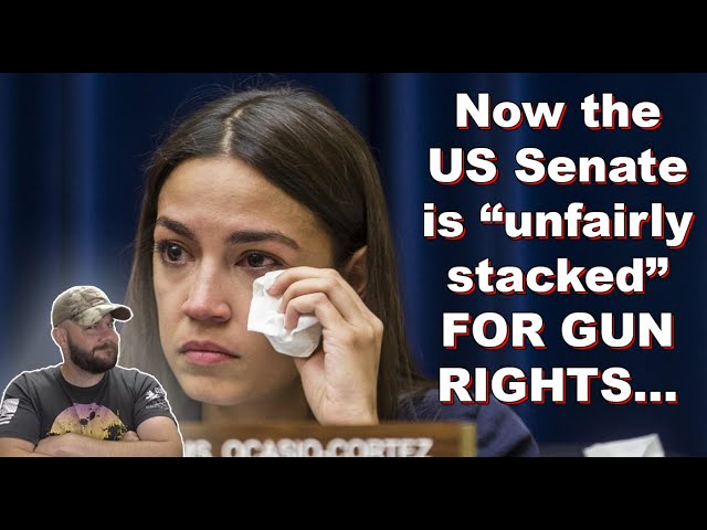 Now the US Senate is unfairly stacked FOR GUN RIGHTS... They're starting to "lose it"...