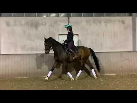 Henderson Bretton Woods x Lancet for sale