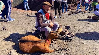 Visit Volcano Etna in Sicily | MSC Cruises Excursion