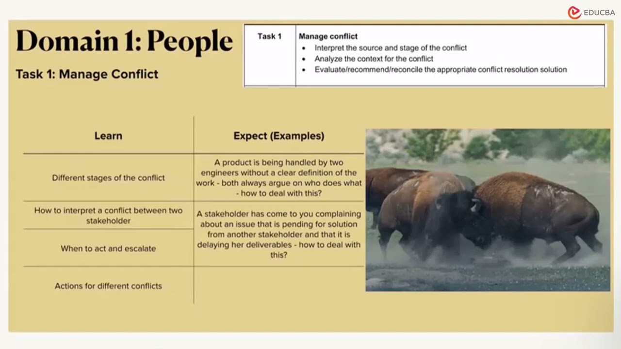 PMP Exam Content | Introduction | EDUCBA