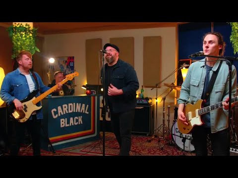 Cardinal Black - January Came Close - Live Stream Nov 2022
