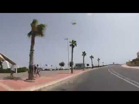 FREE Palm Tree Stock Footage in 4K with Time Warp Go Pro Hero 7 Black