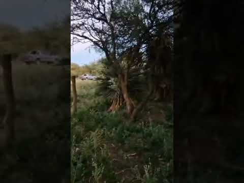 cae la tarde en la Lorena ,al costado de la calle . Villa Larca San Luis