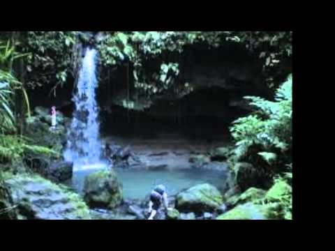 Island's Call, Rhythm Riders of Grenada - by Patrick Humphrey, Video compiled by Cherrilan Perryman