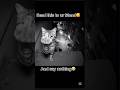 Send The Is To Ur Friend And Say Nothing Funny Memes Cat