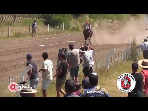 JUGUETE... VIEJO NOMAS.   HERNANDEZ ENTRE RIOS