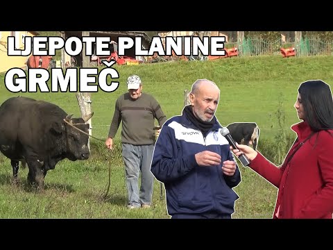 Na planini Grmeč on se mor'o borit i tako je produžav'o svoju rasu!