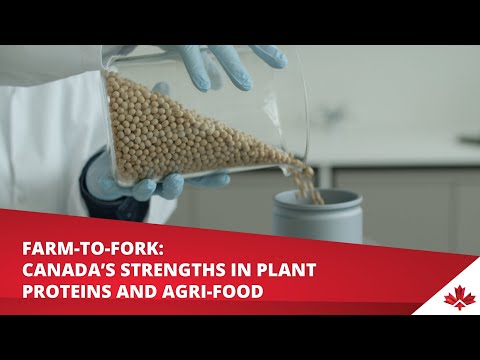 Farm-to-fork: Canada’s Strengths in Plant Proteins and Agri-Food