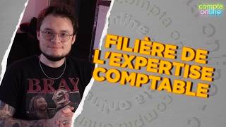 L'expertise comptable est-elle vraiment une filière d'avenir ?