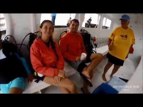 DIVING THE BELIZE BARRIER REEF- Dive Site "Happy Hour"