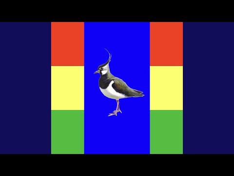 Roëd Gael Greun & Blauw