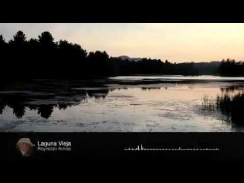 LAGUNA VIEJA - REYNALDO ARMAS