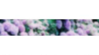 Lorde - The Love Club (Instrumental ver)