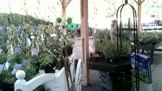 preview picture of video 'Shopping Trip to Daisy Nook Garden Centre Feb 2014'