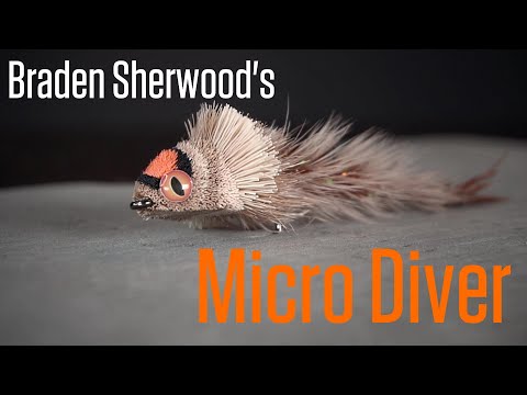 Sherwood's Micro Diver