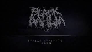 Official BLACKDAHLIA999 Stream Intro