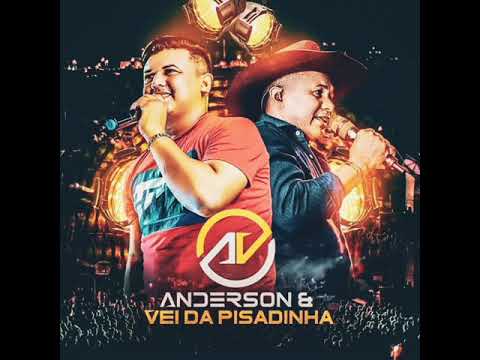 ANDERSON E O VEI DA PISADINHA 2021 SO AS  TOP