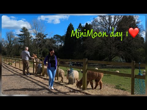 Stonehurst Farm | GoPro Quik edit | 7April2023