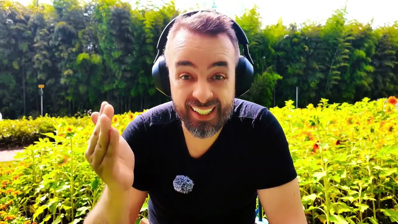 2.6 Estado VIbracional - cursoviagemastral.com.br - acesse o app