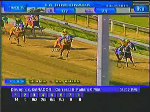 Resumen Domingo, 23 de Enero de 2011 - La Rinconada