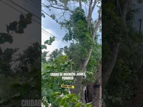Viento sur en pleno verano en la ciudad de Ingeniero Juárez, Formosa