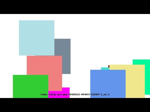 Video #sftp-gcs-pkg-20180222-004033-322967-1_of_1