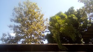 Dreamtale - Memories of time || Sub Español/Lyrics