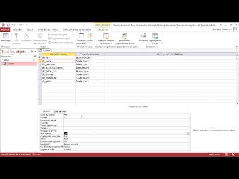 Access : Propriété des champs