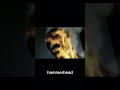 A Tale of a Fearsome Creature--_--hammerhead