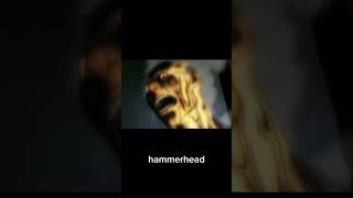 A Tale of a Fearsome Creature--_--hammerhead