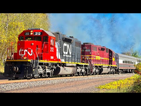 Twelve Hours of Trains! 200+ Trains!!