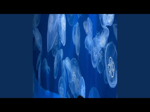 楽曲制作を行います イメージ1