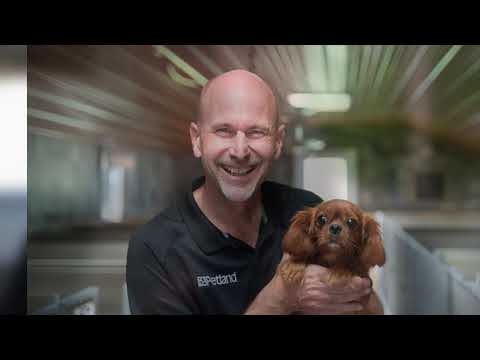 Petland Iowa City Kennel Tours
