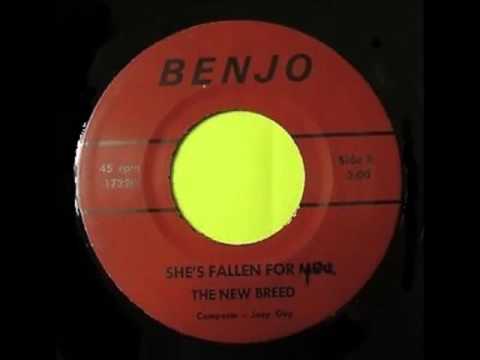 The New Breed - She's Fallen For You
