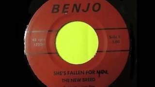 The New Breed - She's Fallen For You