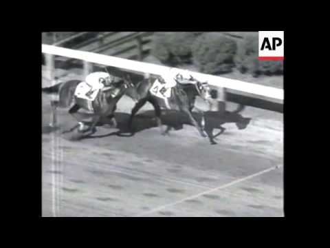 Horse Racing, Korea, Miss Universe