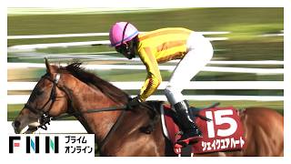 【札幌記念・GⅡ】シェイクユアハート レコードＶ　31年目・古川吉洋騎手 JRA重賞通算16勝目