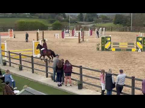 Penpont Tommy 138cm, grade A, Showjumping Star - Image 2