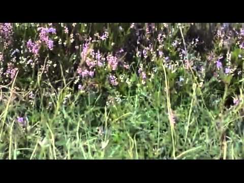 Cazare Iasi Ieftina - Cazat.ro