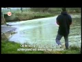 THE BEST AFV Funny Since 2006 Haha Flv