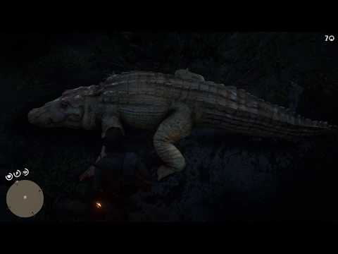 RDR 2 что делать если не появляется легендарный аллигатор