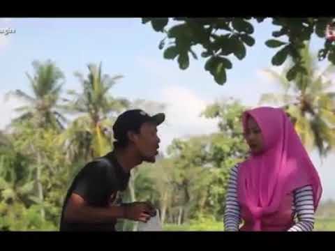 Pamer bojo vrsi cingire