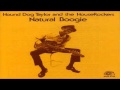 Hound Dog Taylor - Sitting At Home Alone 